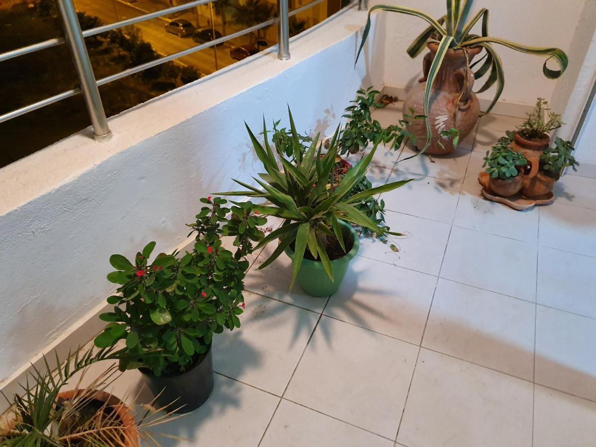 Appartement S+1 Jardin De Carthage 突尼斯 外观 照片